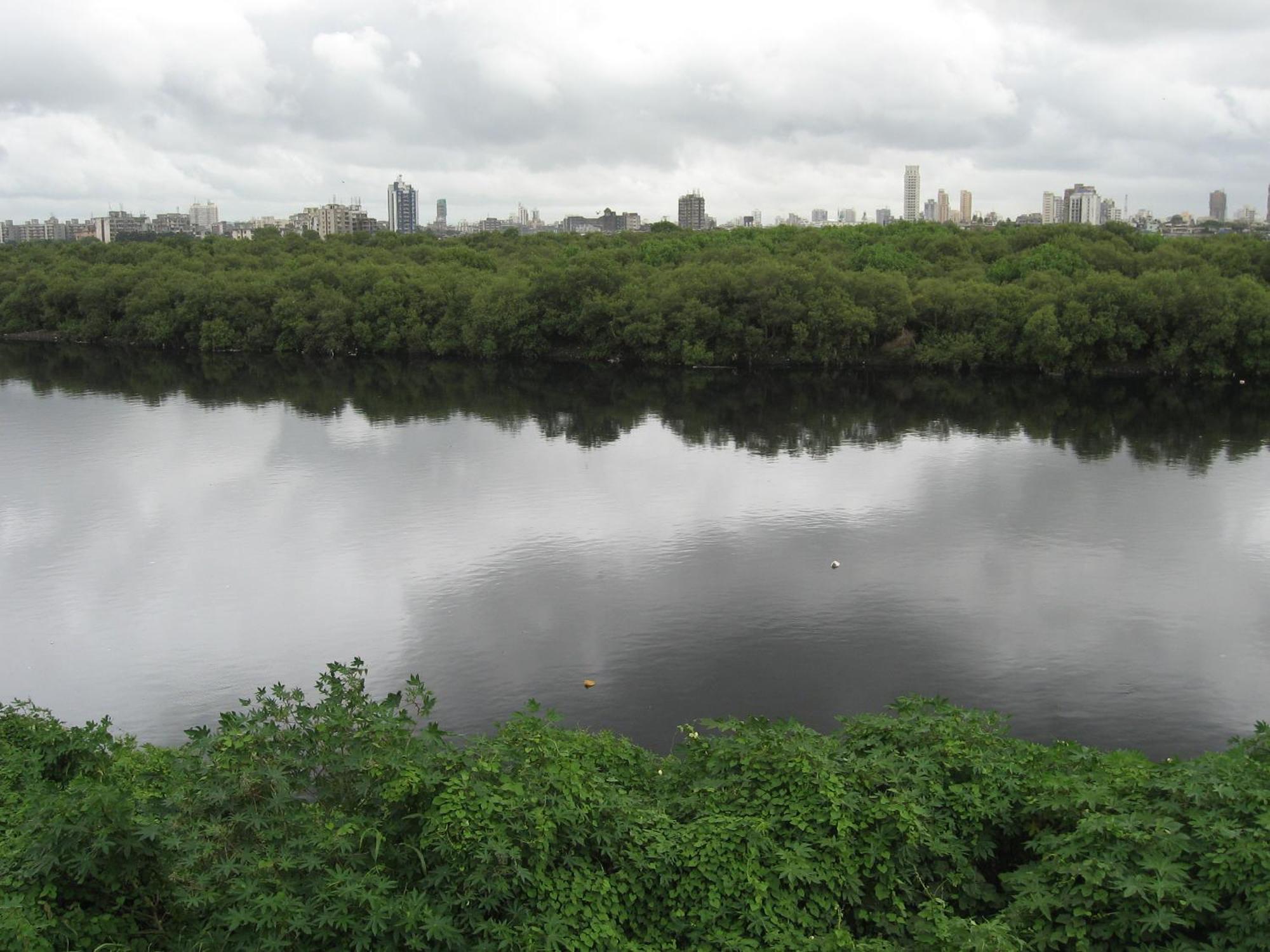 Isra International, Bkc Mumbai (Bombay)
